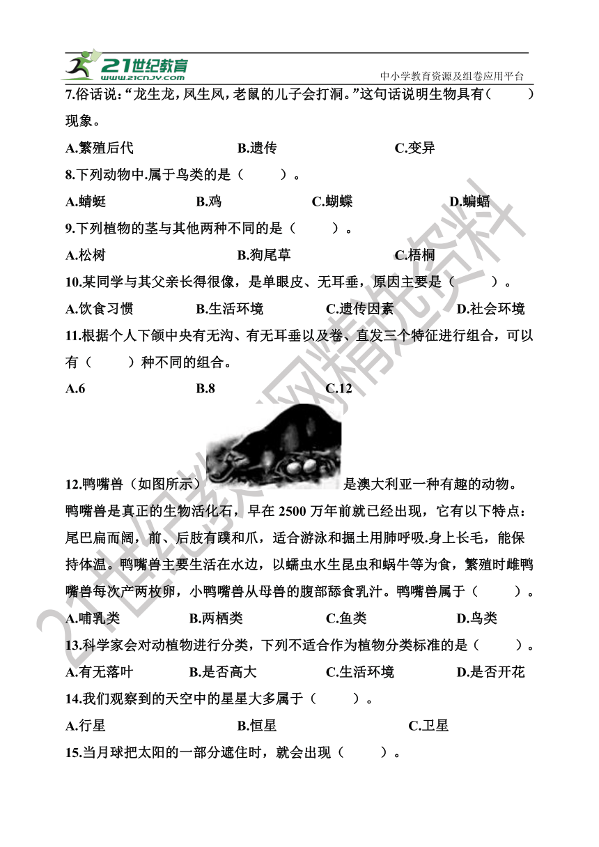 2021~2022新教科版科学六年级小升初模拟试卷（三）【含答案】