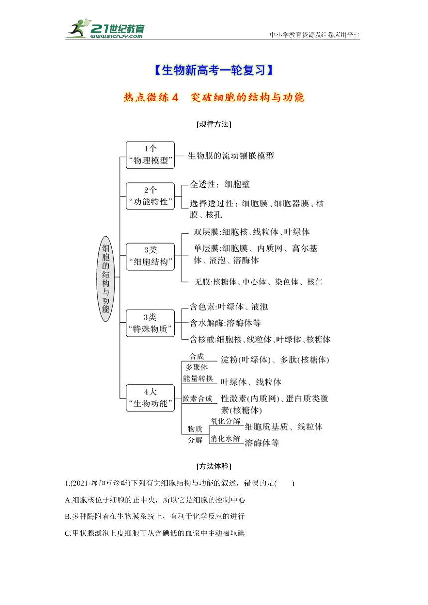 【生物新高考一轮复习】热点微练4　突破细胞的结构与功能（word版含解析）