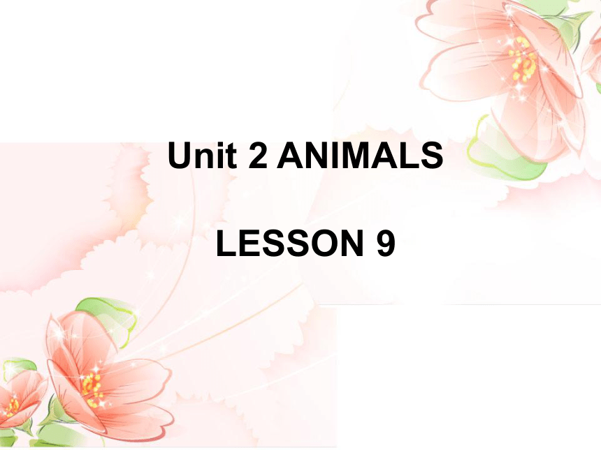 Unit2 Ahimals Lesson 9 课件(共12张PPT)  ——清华大学版小学一上英语