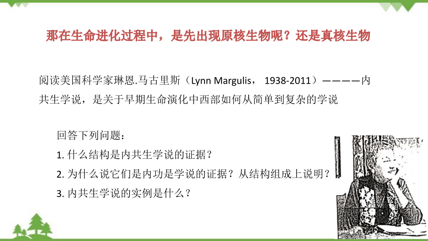 高中生物浙科版（2019）必修一2.6原核细胞内无成形的细胞核课件（1）(共15张PPT)