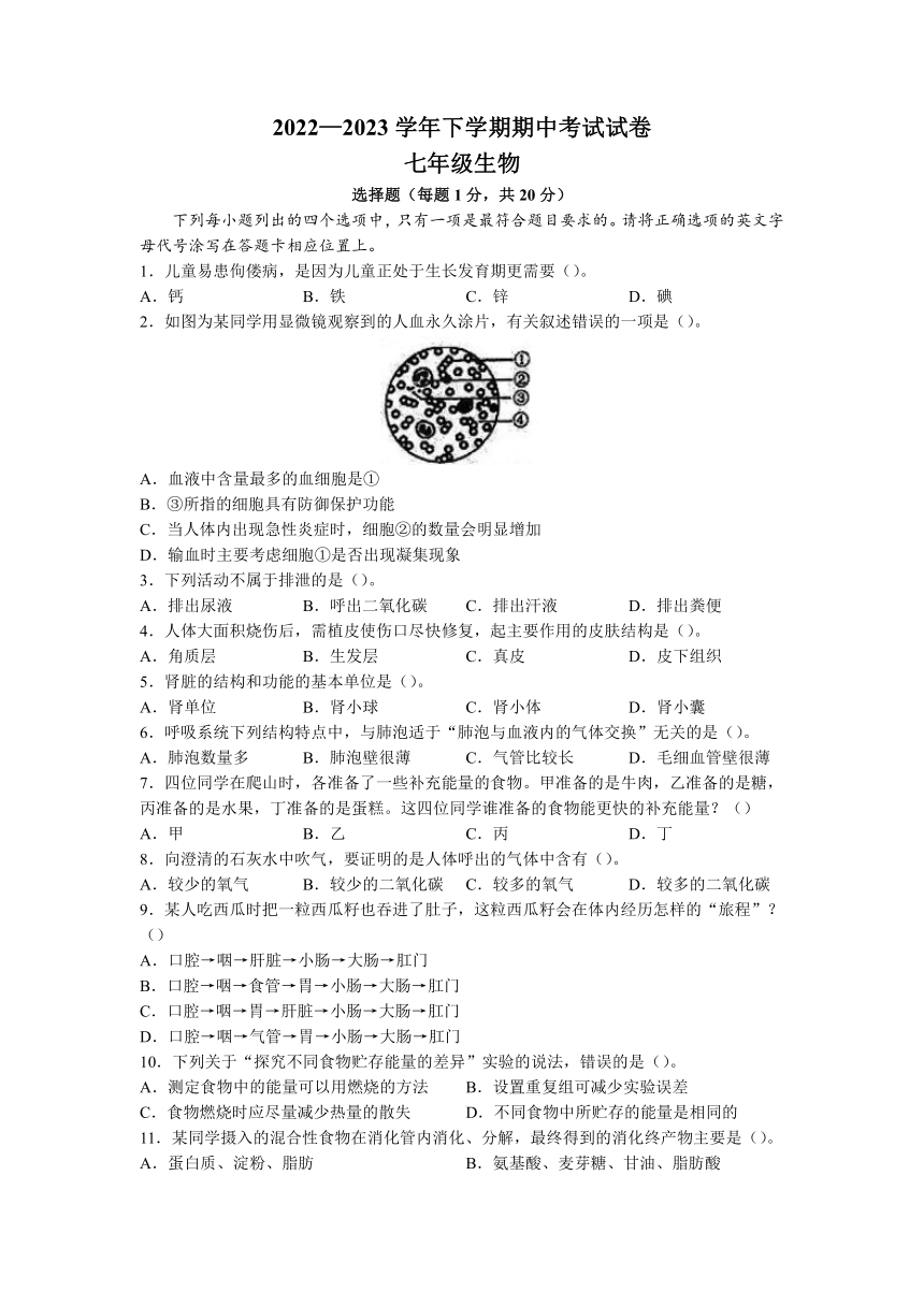 河南省新乡市长垣市2022-2023学年七年级下学期期中生物试题（含答案）