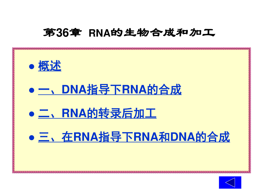 2020-2021学年高中生物竞赛RNA的生物合成课件(105PPT)