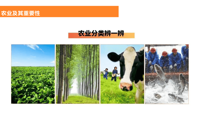 人教版地理八年级上册课件  4.2农业(共29张PPT)（WPS打开）