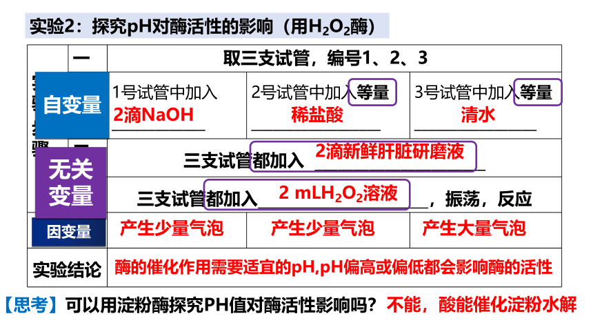 5.1低化学反应的活化能（第3课时）(课件共20张PPT)