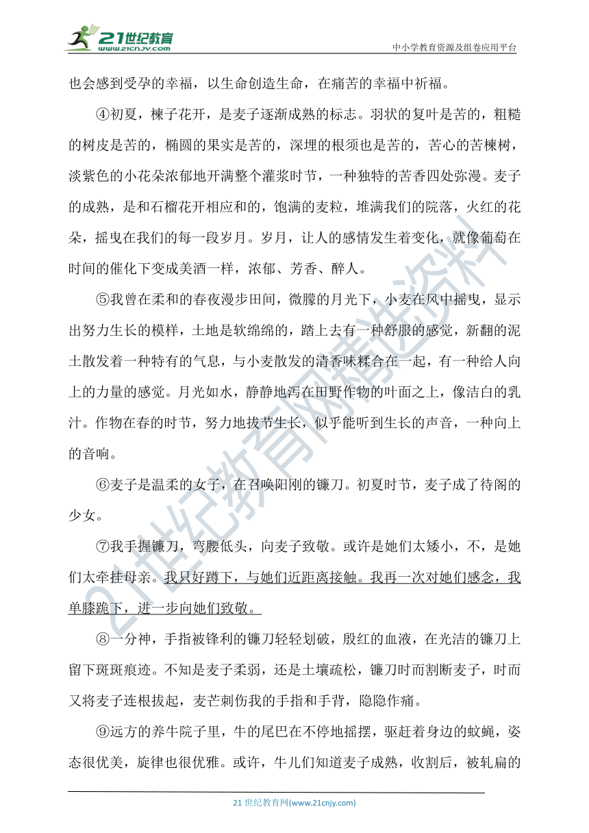 统编版六年级语文上册第五单元测试题（二）（含答案）