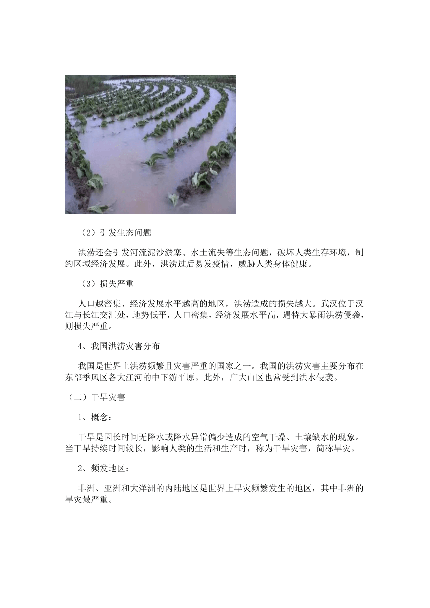 人教版（2019）必修第一册6.1 气象与水文灾害 教案