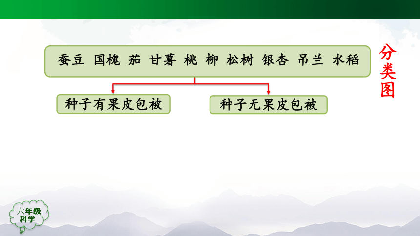 人教鄂教版（2017秋）科学六上 第二单元 田野里的生物(单元回顾) 课件(38张ppt)+内嵌视频