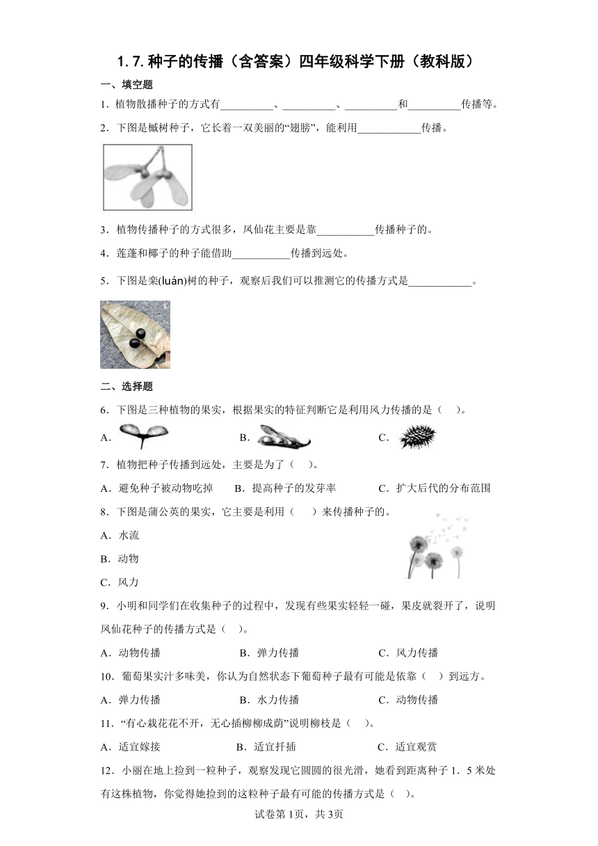 教科版（2017秋）四年级下册科学1.7.种子的传播练习题（含答案）