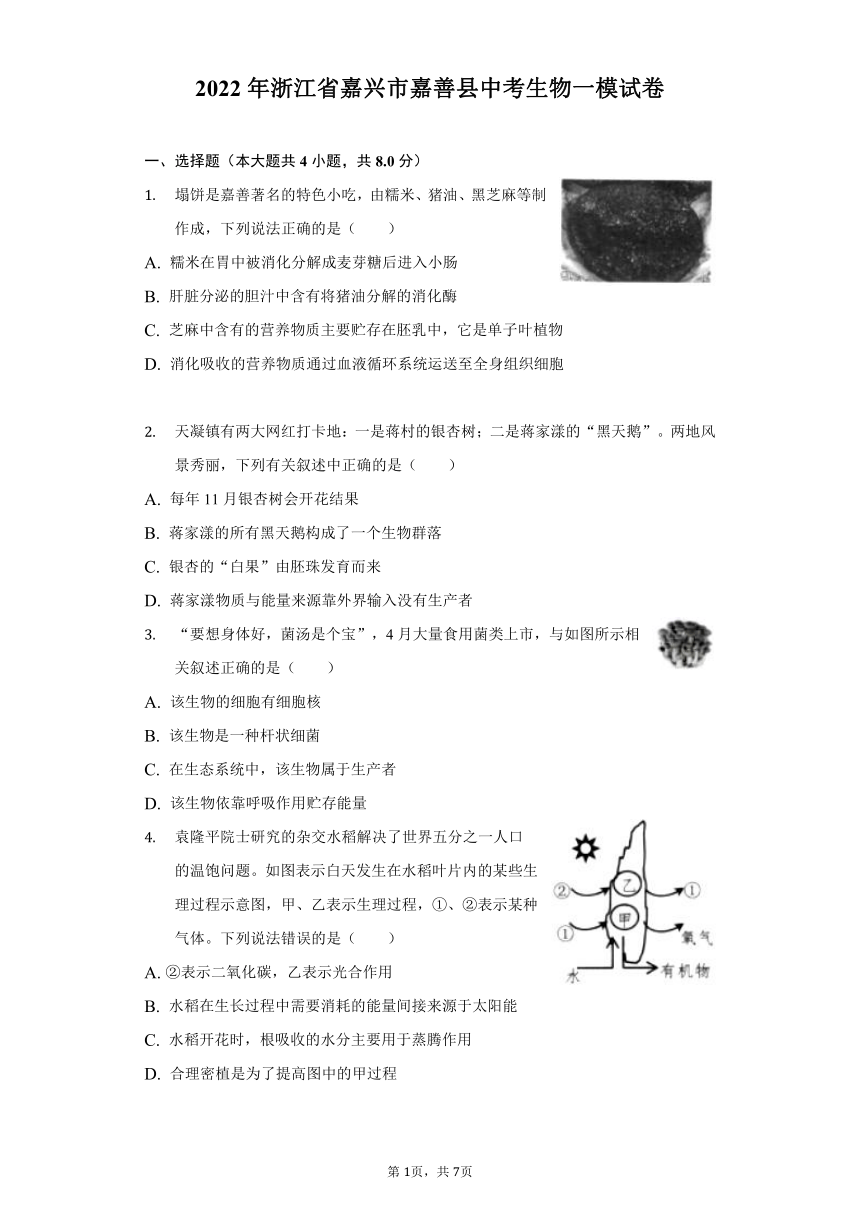 2022年浙江省嘉兴市嘉善县中考生物一模试卷（word版，含解析）