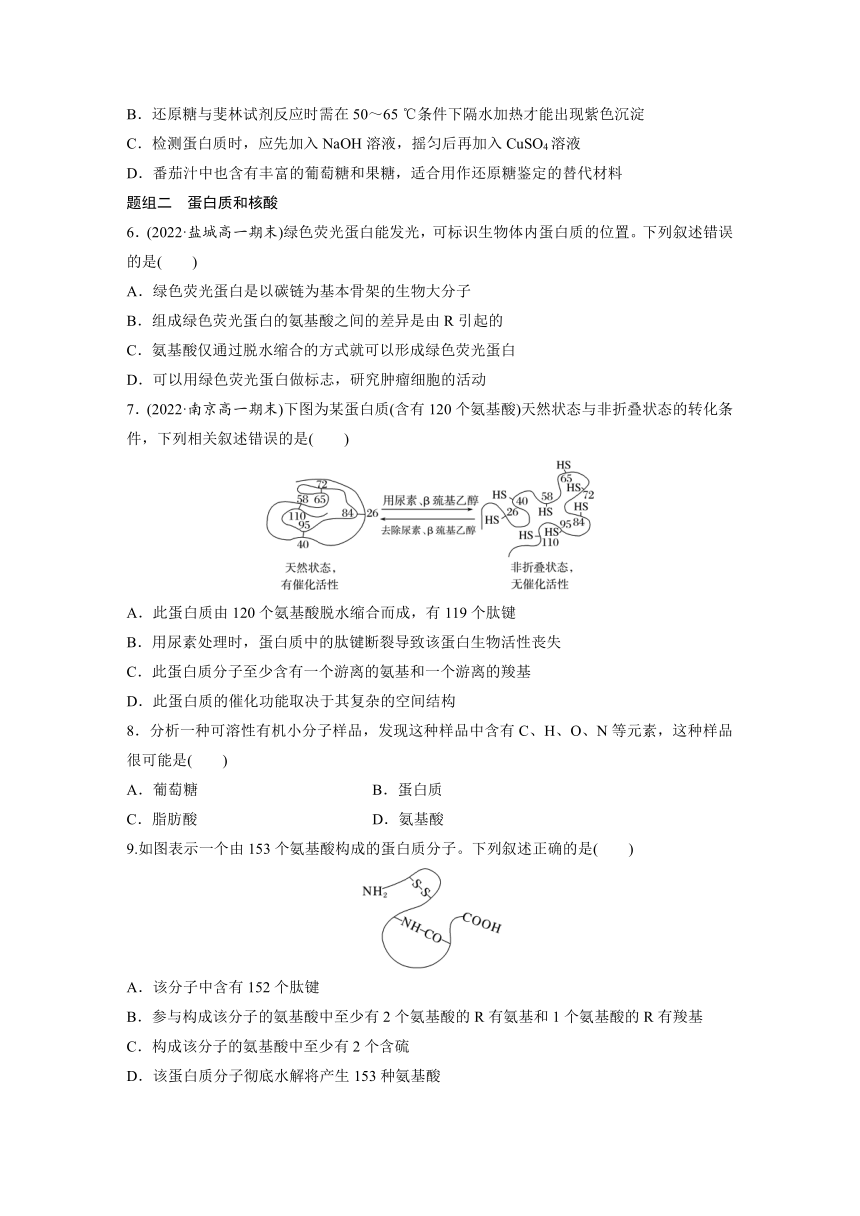 2022-2023学年苏教版2019高中生物必修1 第一章　细胞的分子组成  重点突破练(一)（word版含解析）