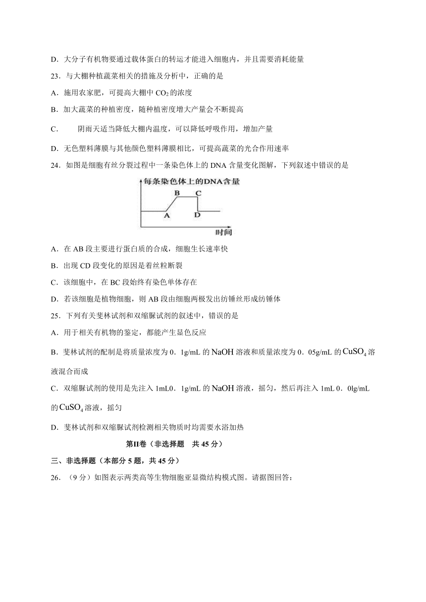 2020-2021学年高一上学期生物（苏教版（2019）必修第一册）期末考试试卷