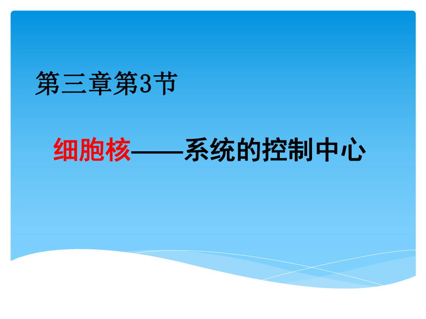 3.3细胞核——系统的控制中心课件(共20张PPT)2022-2023学年高一上学期生物人教版必修1