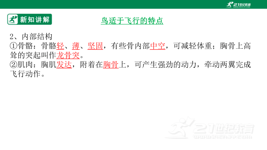 人教版5.1.6 鸟-2022-2023学年八年级生物上册 同步课件(共30张PPT)