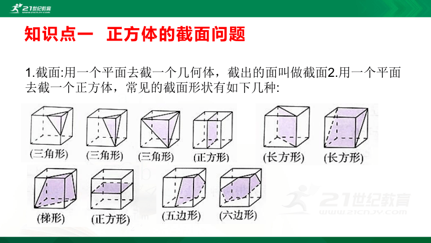 1.3 截一个几何体 课件（共22张PPT）