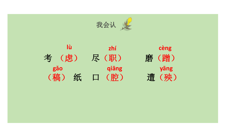 13.猫   课件（39张PPT)