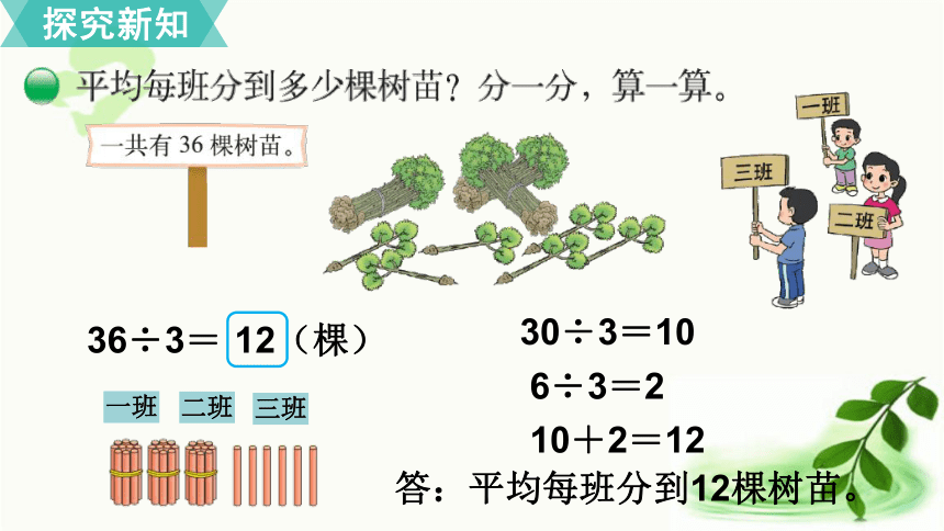 北师大版数学三年级上册 4.4  植树 课件（18张ppt)