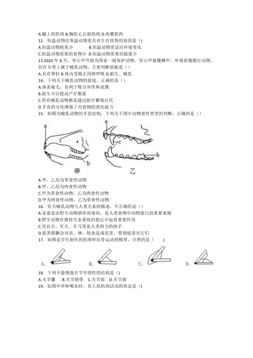 广东省佛山市第三中学初中部2022-2023学年八年级上学期期中生物试题（无答案）