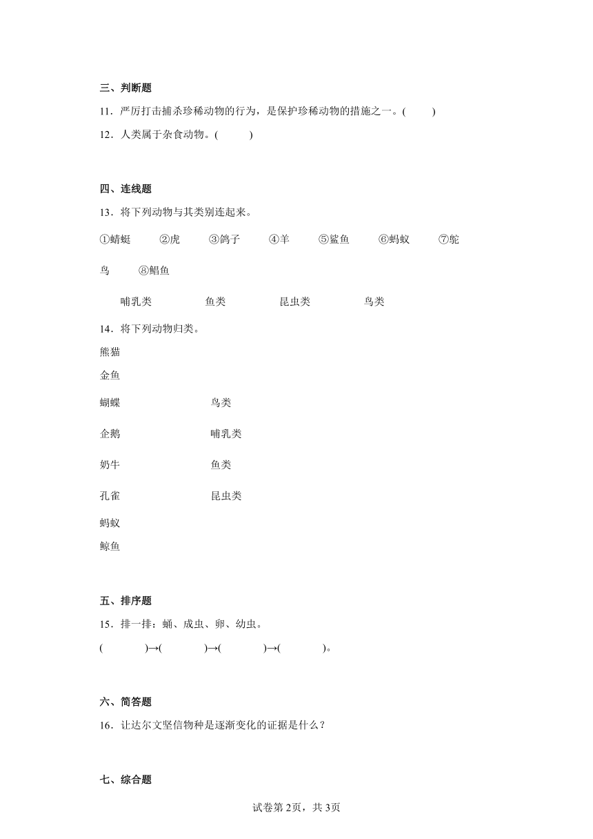 大象版（2017秋） 三年级上册第二单元动物的特征（单元测试）（含答案）