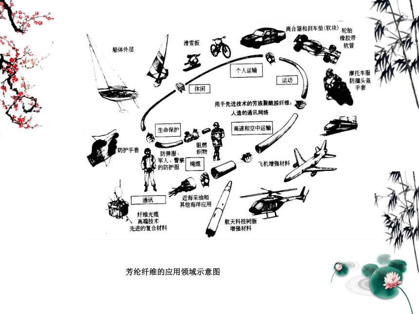 第一章 纤维的分类及发展3 课件(共25张PPT)《纺织材料学（第2版）》同步教学（纺织出版社）