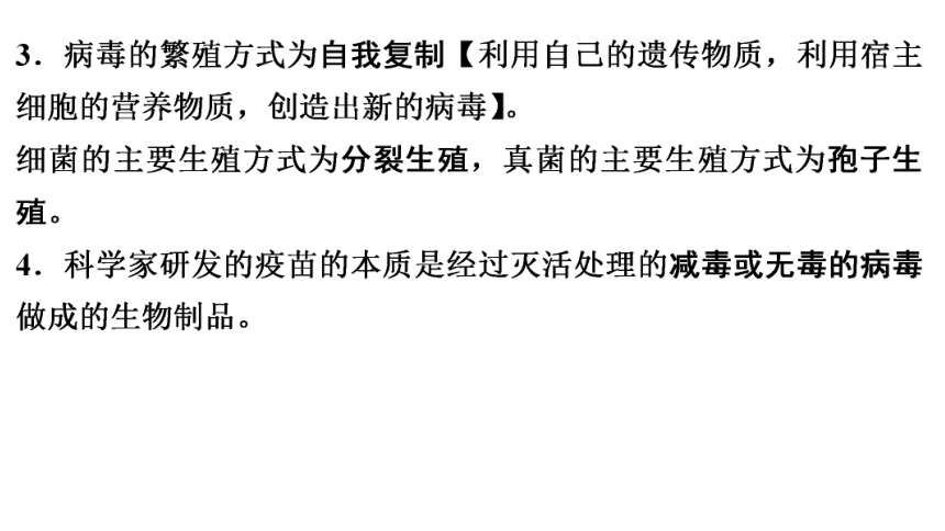 8.1 本章特别专题　病毒 课件(共31张PPT)2023年春人教版八年级生物下册