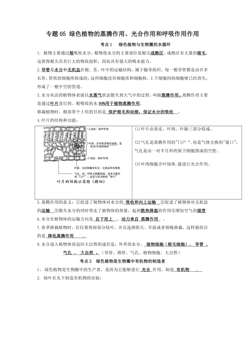 专题05 绿色植物的蒸腾作用、光合作用和呼吸作用作用（知识）-备战中考生物一轮复习考点（全国通用）