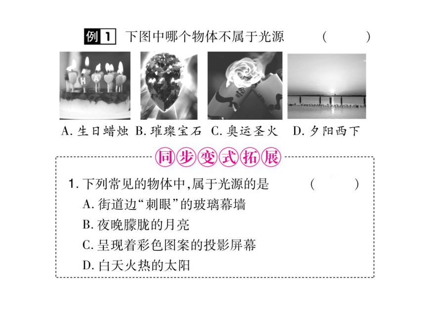 2021-2022学年八年级上册人教版物理习题课件 第四章 第1节  光的直线传播(共24张PPT)