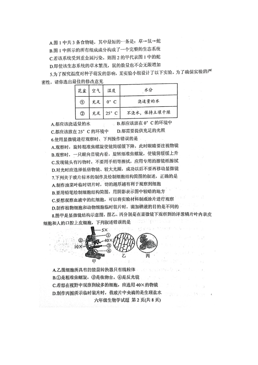 山东省肥城市（五四学制）2021-2022学年六年级上学期期末考试生物试题（扫描版无答案）