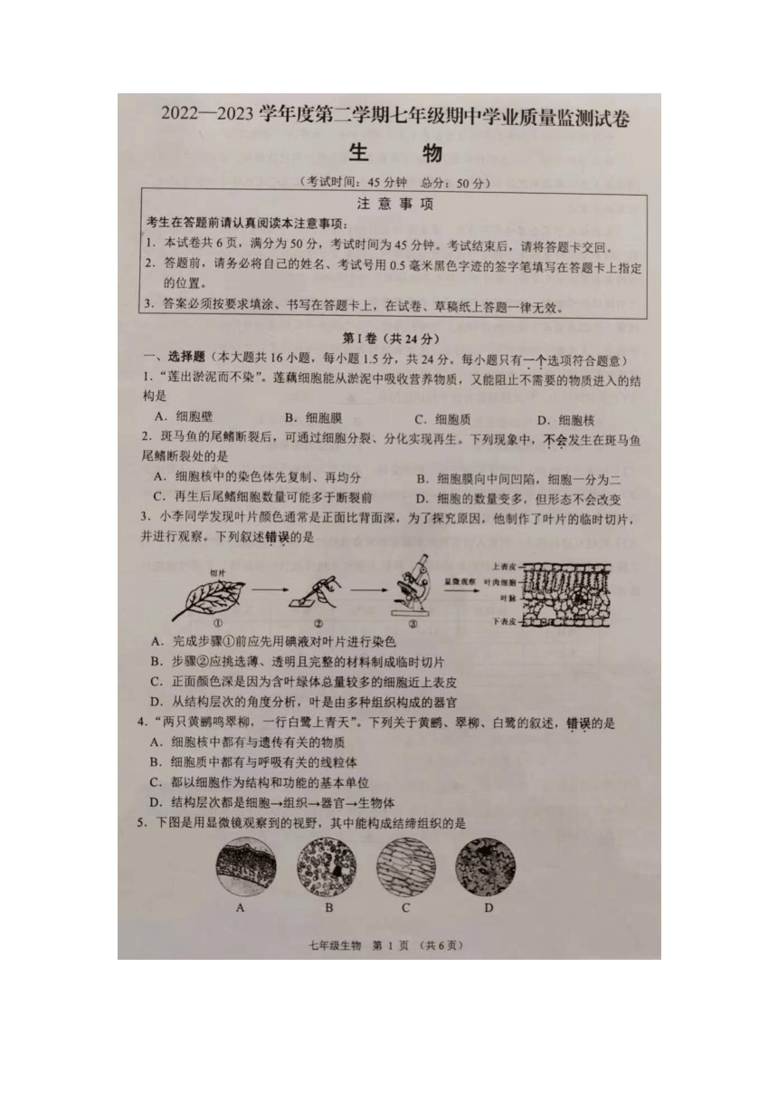 江苏省南通市如皋市2022-2023学年七年级下学期期中生物试题（图片版 含答案）