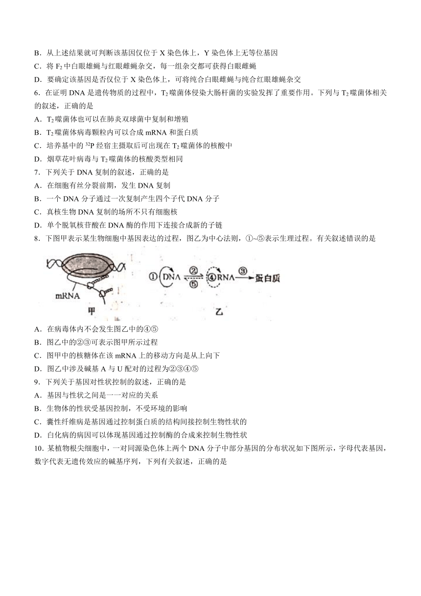 河北省曲阳县2020-2021学年高一下学期第四次检测（6月月考）生物试题 Word版含答案