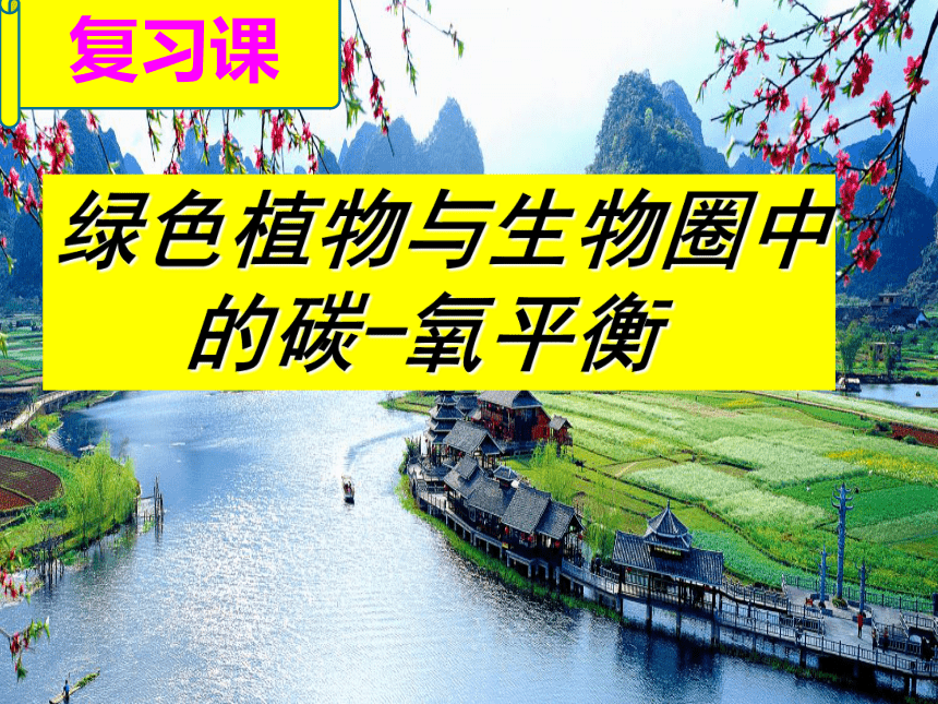 2021-2022学年人教版生物七年级上册3.5 绿色植物与生物圈中的碳—氧平衡（复习课）课件(共33张PPT)