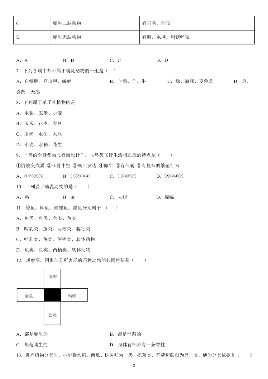 第2章 生物的主要类群  单元测试（有答案）