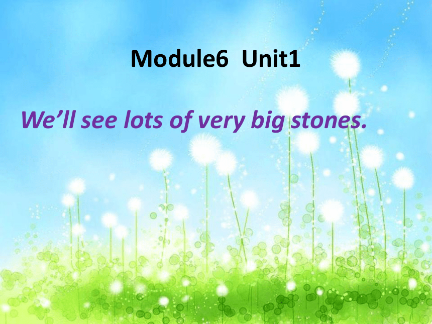 Module 6 Unit 1 We'll see lots of very big stones. 课件（26张PPT）