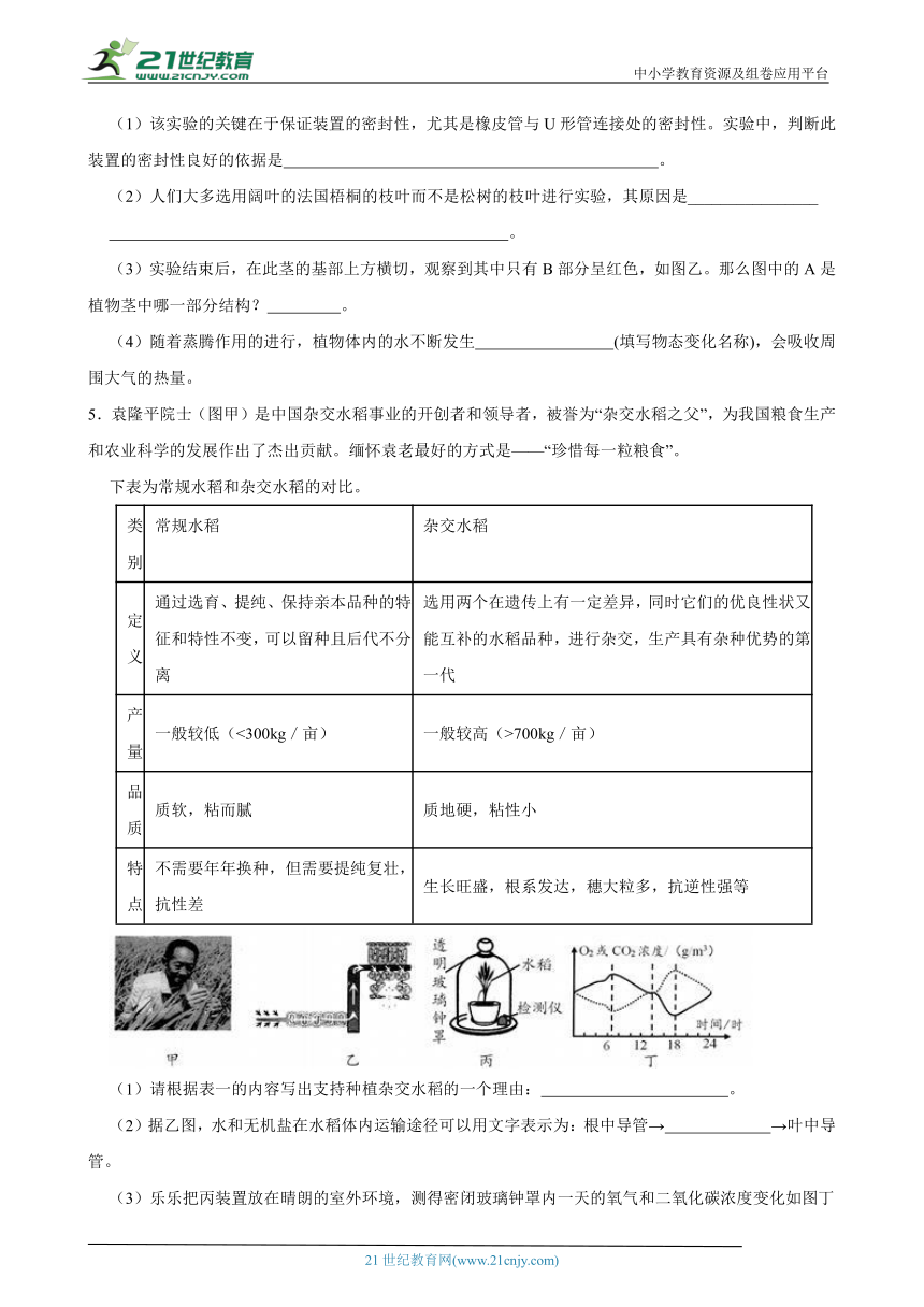 浙教版八下第十七周八下周末专题训练4.4-4.6茎与叶的结构和功能（含解析）