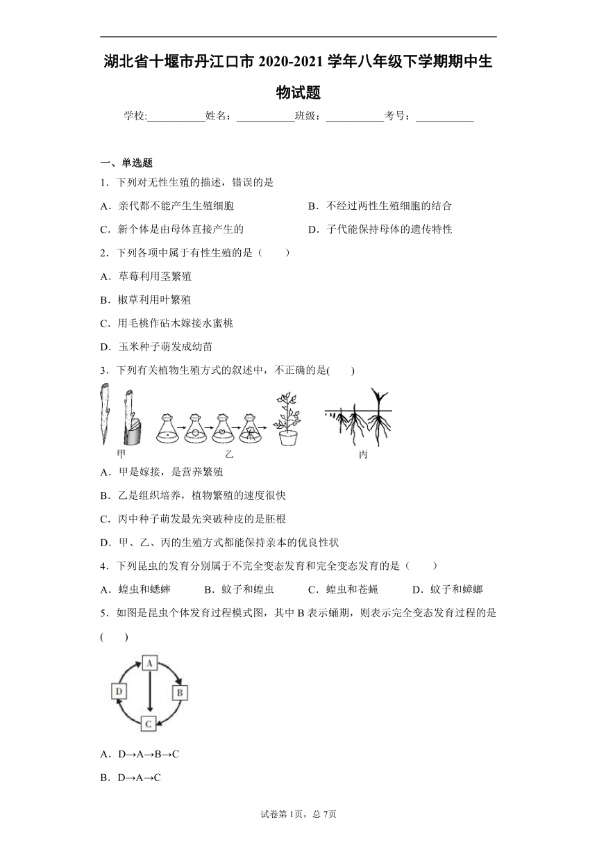 湖北省十堰市丹江口市2020-2021学年八年级下学期期中生物试题（word版，含解析）