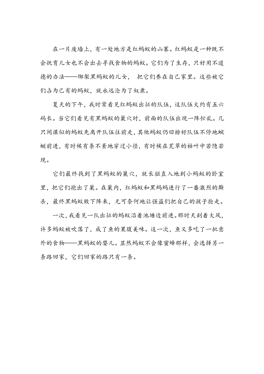 四年级上册 语文园地三  学案（含答案）