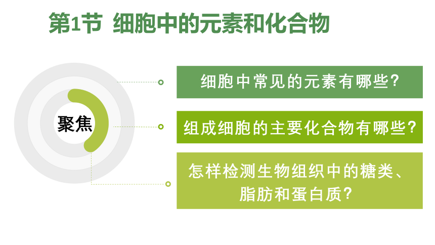 2021-2022学年高一上学期生物人教版（2019）必修一2.1细胞中的元素和化合物课件（共28张PPT）