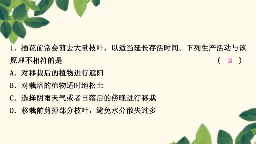 人教版生物七年级上册 期末复习专题(四)　第三单元 第三～六章 复习课件(共22张PPT)