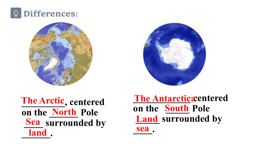 语外研版选修八Module 1  Deep South Reading The Antarctica 课件（19张ppt）
