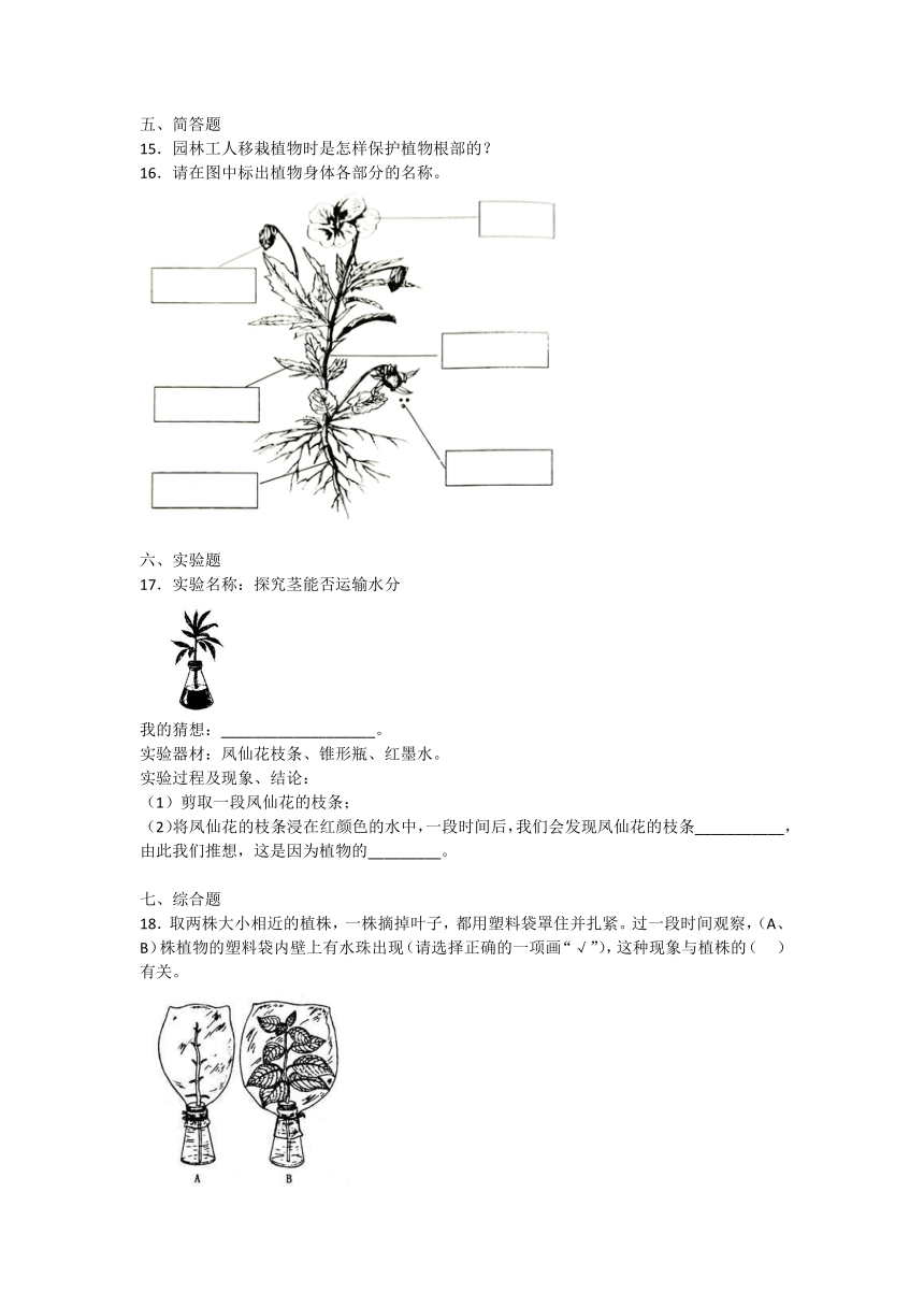 青岛版（2017）三年级上册科学第二单元植物的生活 测试卷（含答案）