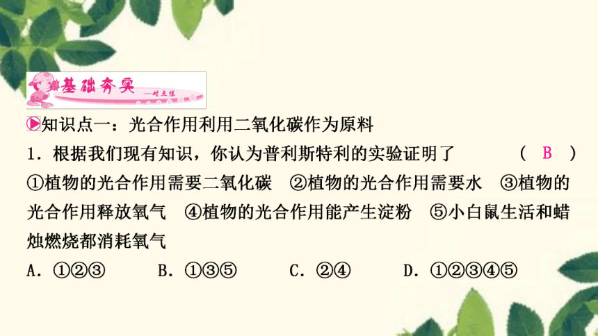 人教版生物七年级上册 3.5.1　光合作用吸收二氧化碳释放氧气 课件(共22张PPT)