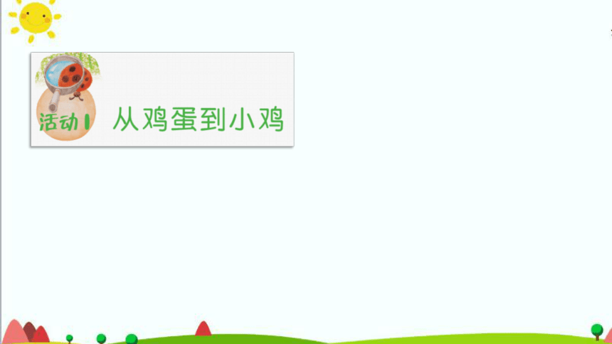 1.6《母鸡生蛋了》课件（共46张PPT）