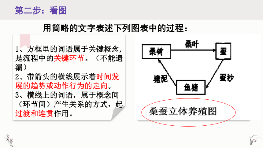 2023年中考语文复习备考-图文转换之流程图  课件（共20张PPT）