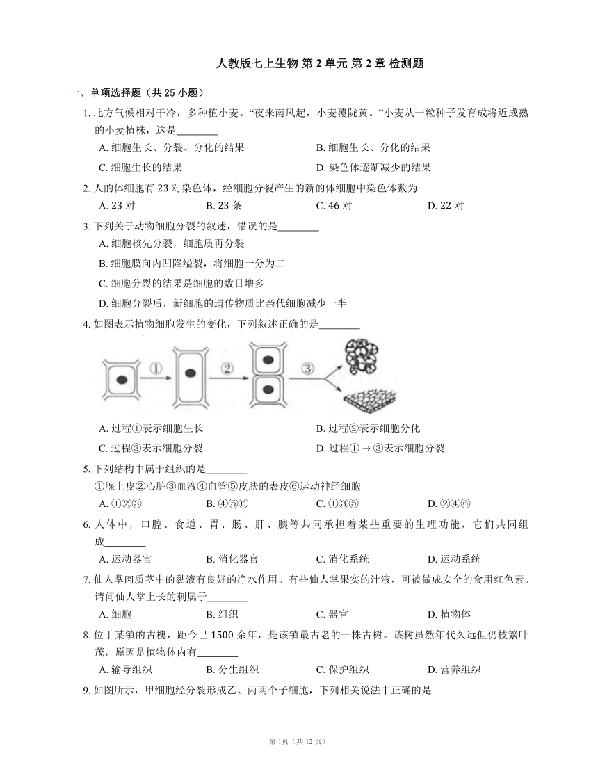 人教版七上生物 第2单元 第2章细胞怎样构成生物体 检测题(word版含解析）