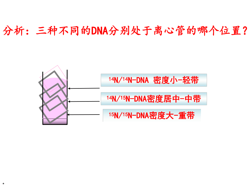 2020-2021学年高一下学期生物人教版必修2 _3.3DNA分子的复制课件 （29张ppt）