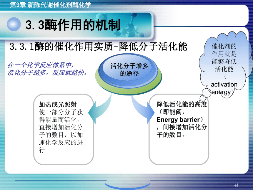 3.3酶作用的机制 课件(共19张PPT)- 《环境生物化学》同步教学（机工版·2020）