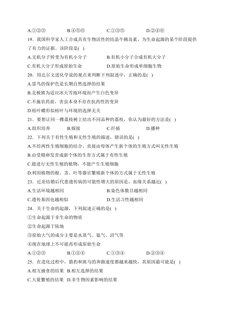 2024年广西南宁市武鸣区八年级下学期期中考试生物模拟试题（pdf版含解析）