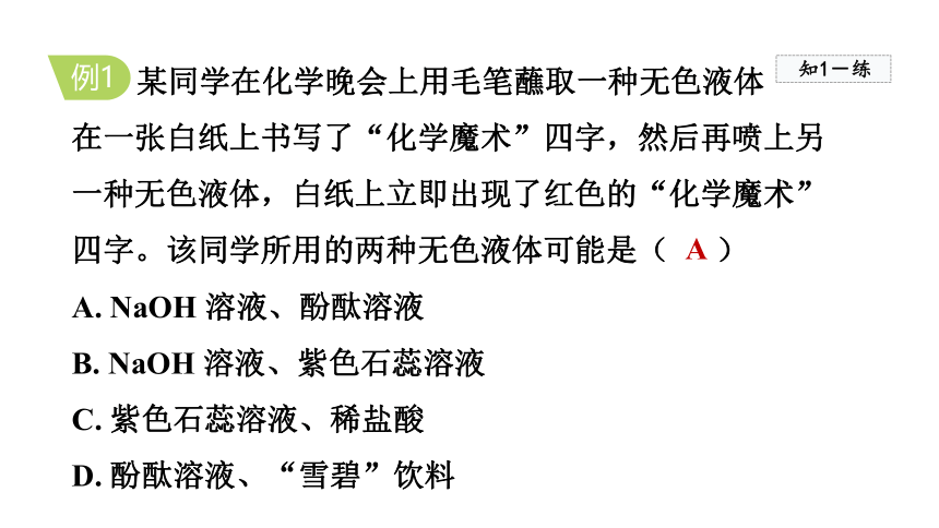 10.1.1 酸碱与酸碱指示剂作用  课件   人教版九年级下册化学   (共23张PPT)