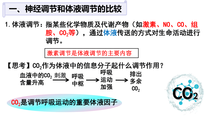 3.3体液调节与神经调节的关系课件2021-2022学年高二上学期生物人教版选择性必修1(共22张PPT)