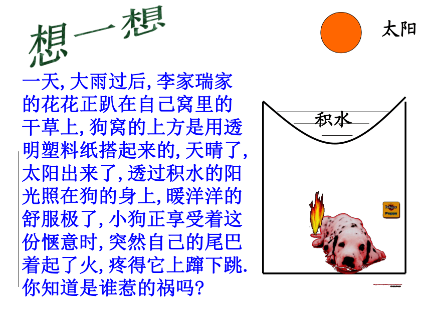 4.2透镜课件 (共37张PPT 2022-2023学年苏科版八年级上册物理