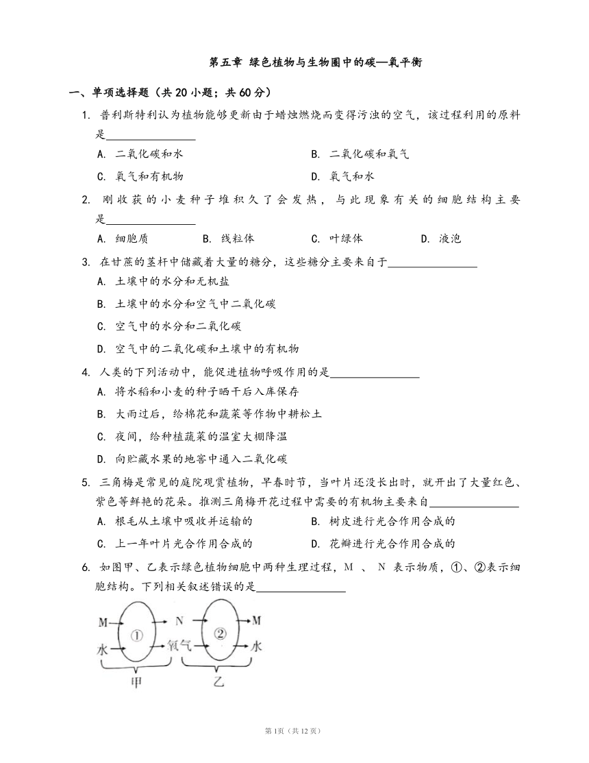 人教版七年级生物上册第三单元第五章 绿色植物与生物圈中的碳—氧平衡检测卷（word版，有答案）